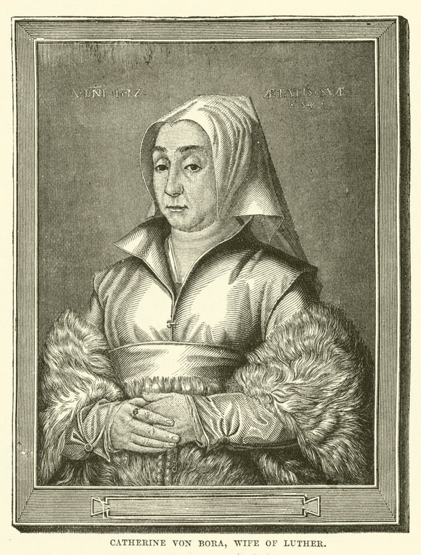 Catherine von Bora, Luther