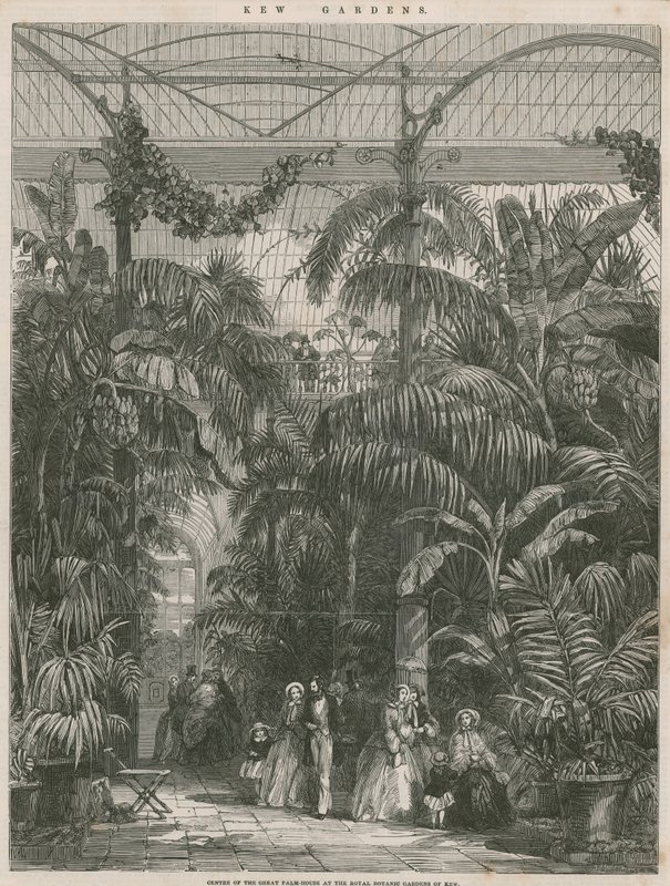 Kew Kraliyet Botanik Bahçeleri
