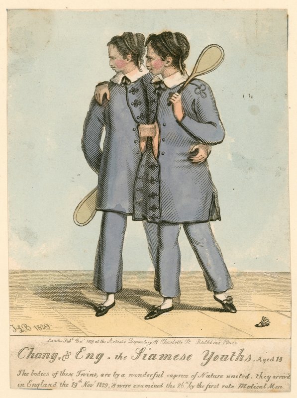 Chang ve Eng, Siyam Gençleri, 18 yaşında by English School