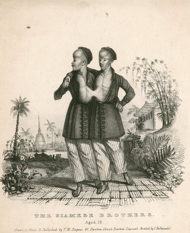 Chang ve Eng, Siyam Gençleri, 18 yaşında by English School