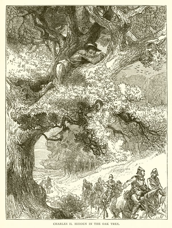 Meşe Ağacında Gizli Charles II by English School