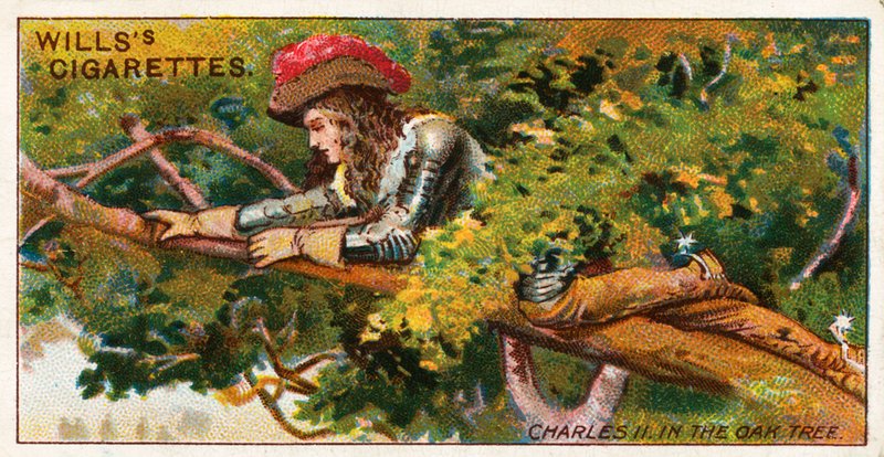meşe ağacında Charles II by English School