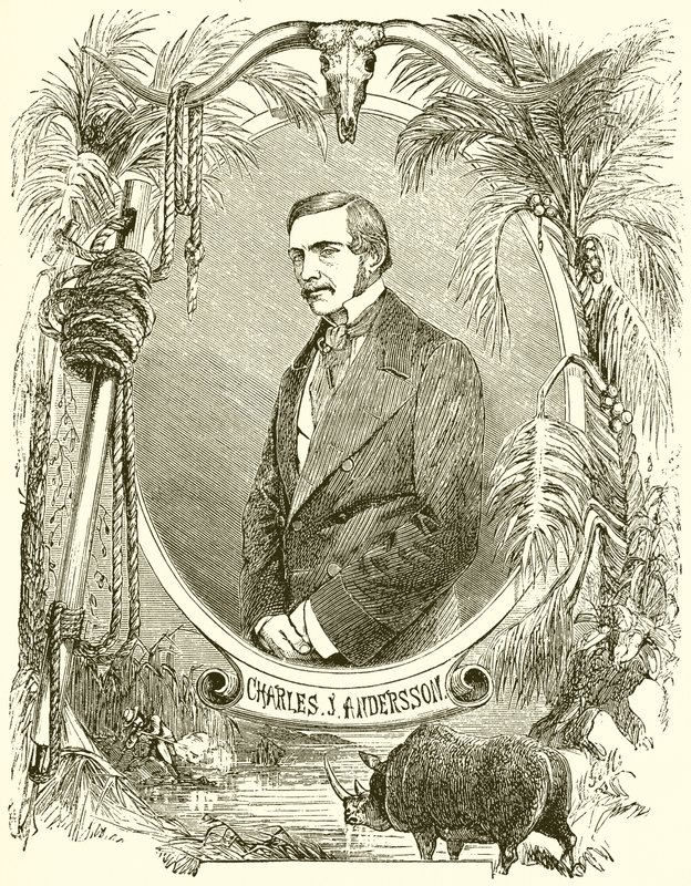Charles J Anderson by English School