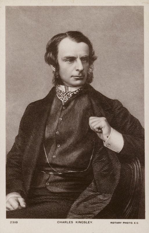 Charles Kingsley (1819-1875), İngiliz din adamı, tarihçi ve romancı (lito) by English School