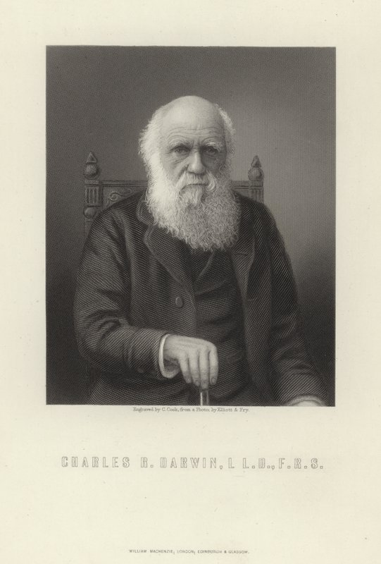 Charles R. Darwin by English School