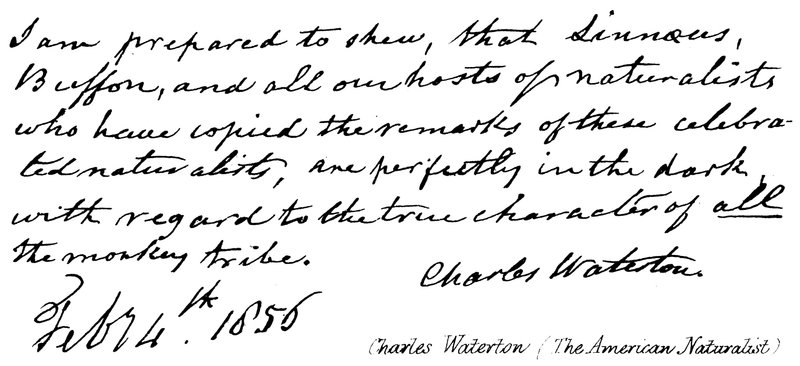 Charles Waterton (Amerikalı Doğabilimci) by English School