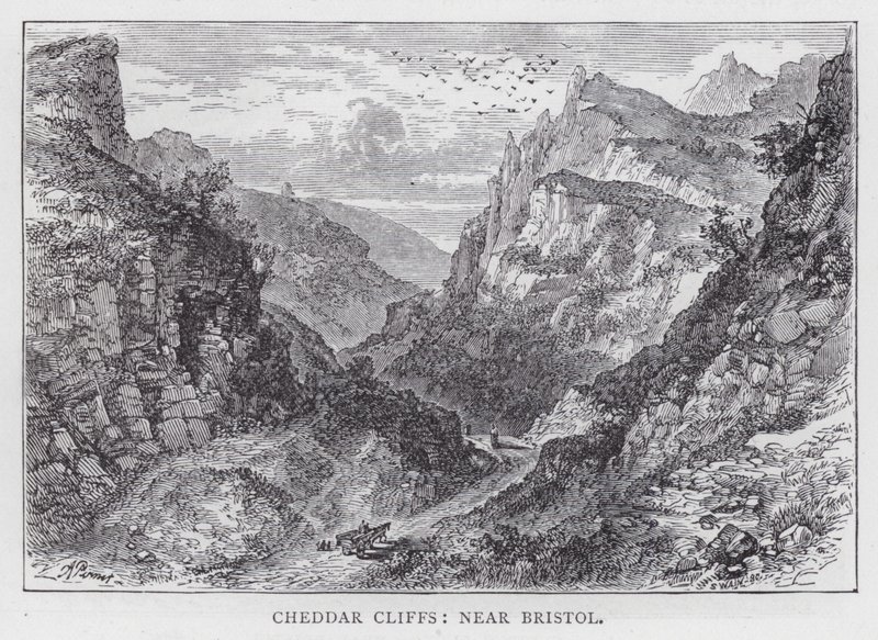 Bristol yakınlarındaki Cheddar Cliffs (gravür) by English School