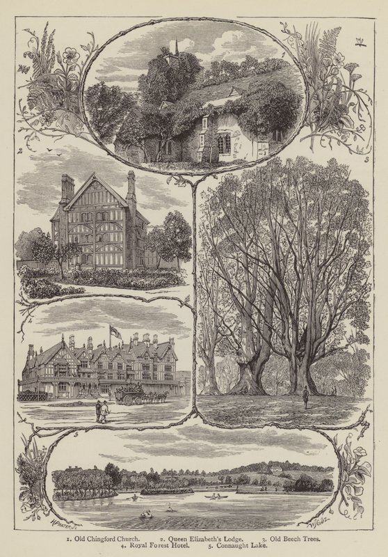 Chingford (gravür) by English School