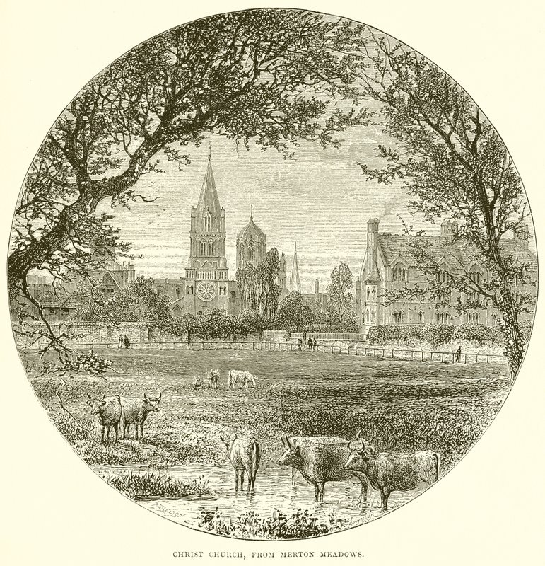 Merton Meadows