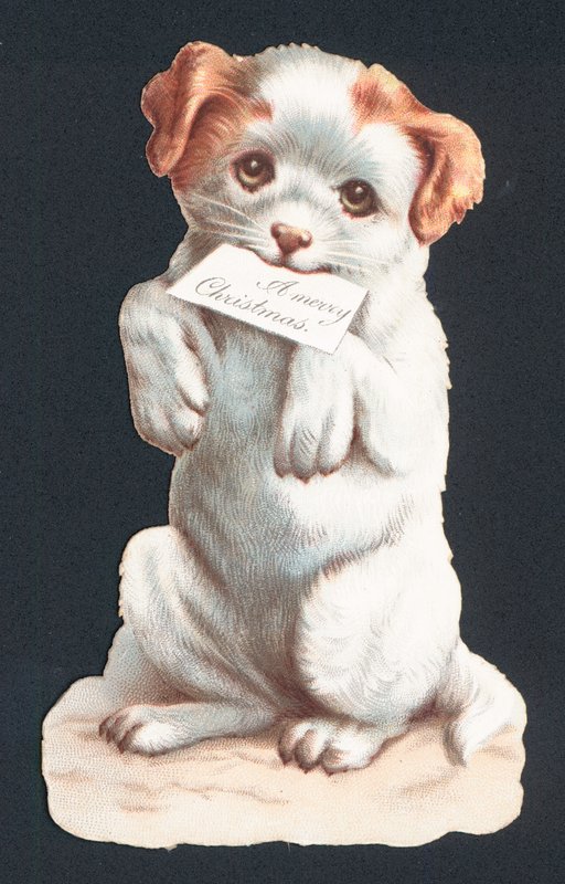 Noel kartı taşıyan köpek yavrusu ile by English School