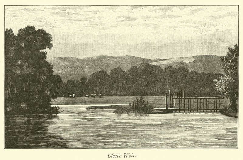 Cleeve Savak by English School