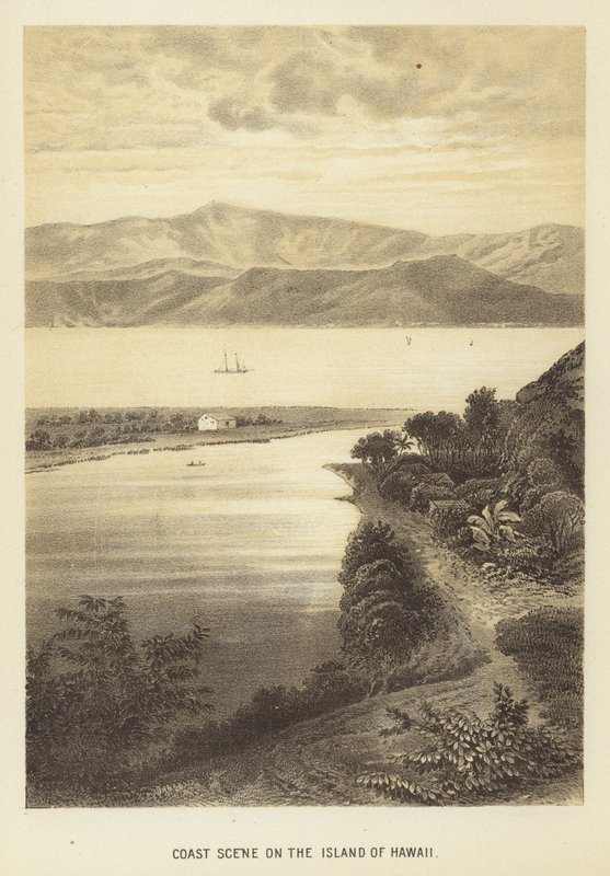 Hawaii Adası