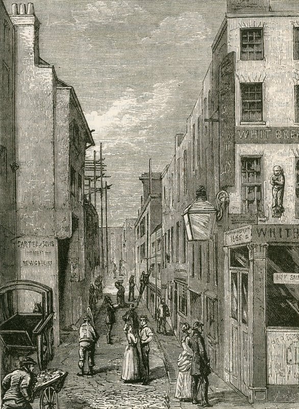horoz şeridi by English School