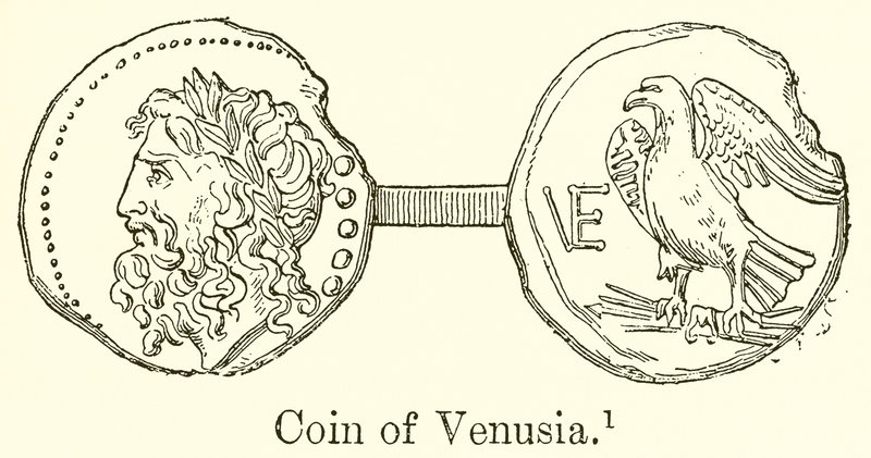 Venüs madeni parası by English School