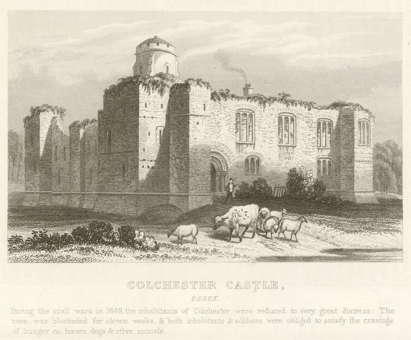 Colchester Kalesi, Essex (gravür) by English School