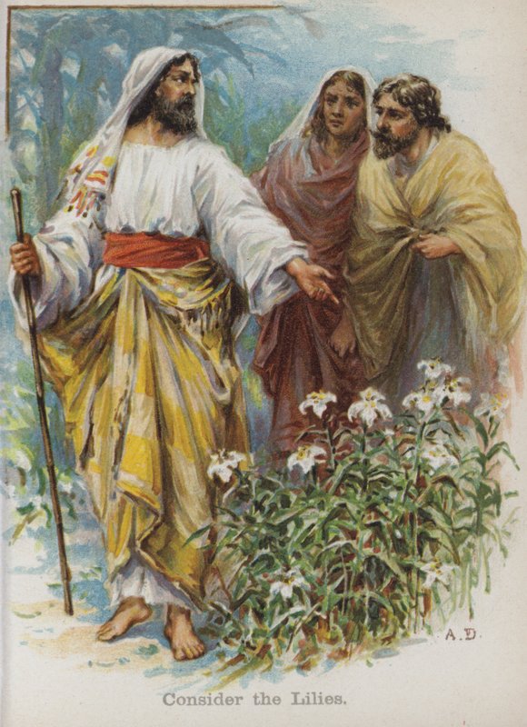 Zambakları düşünün (chromolitho) by English School