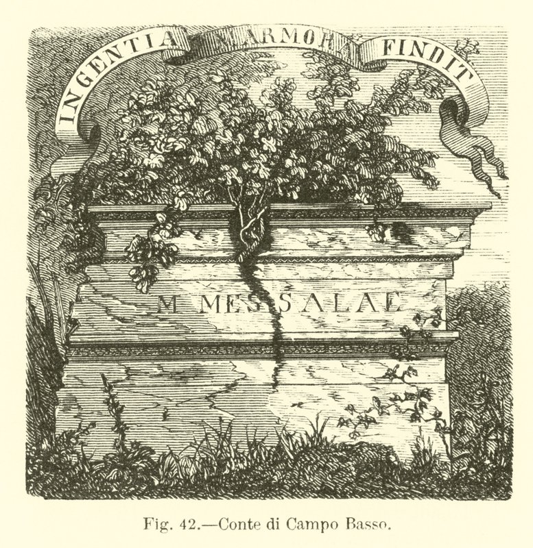 Campo Basso Kontu by English School