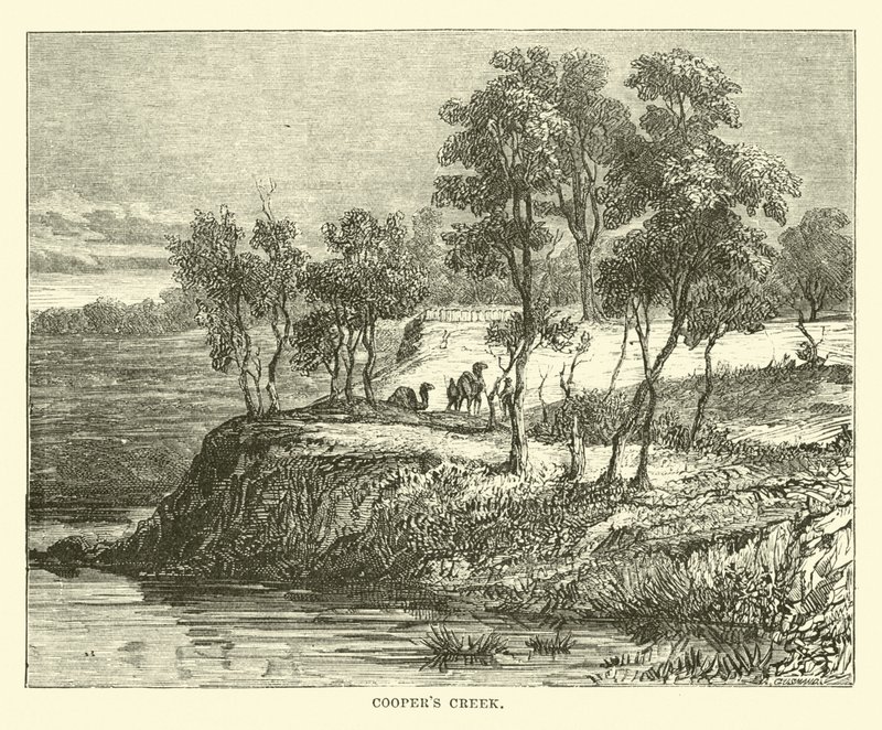 Coopers Creek by English School