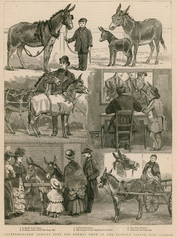Doğu Londra