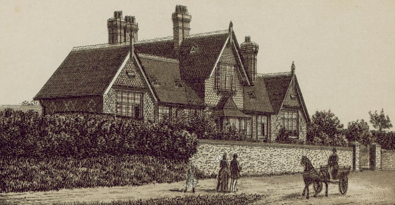 Cottage Hastanesi, Petersfield (litho) by English School