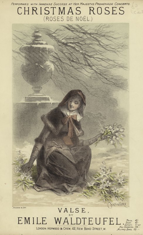 Noel Güllerinin Kapağı by English School