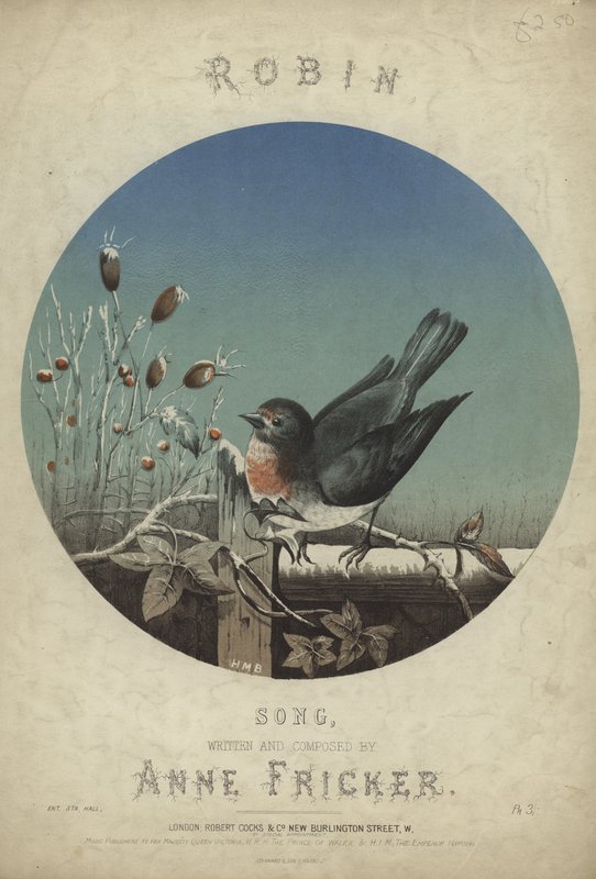 Robin