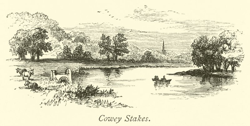 Cowey Bahisleri by English School