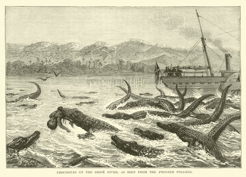 Pioneer Steamer