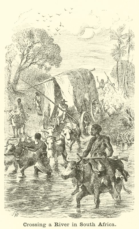 Güney Afrika