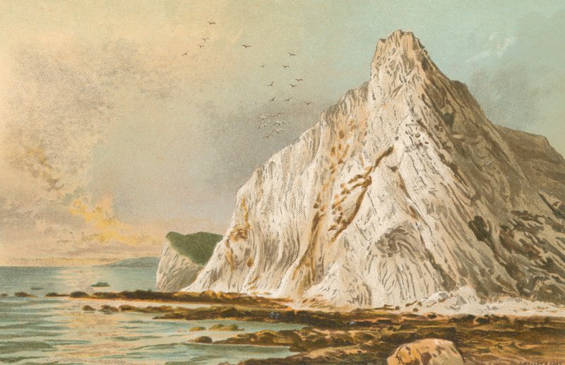Culver Cliff--Wight Adası by English School