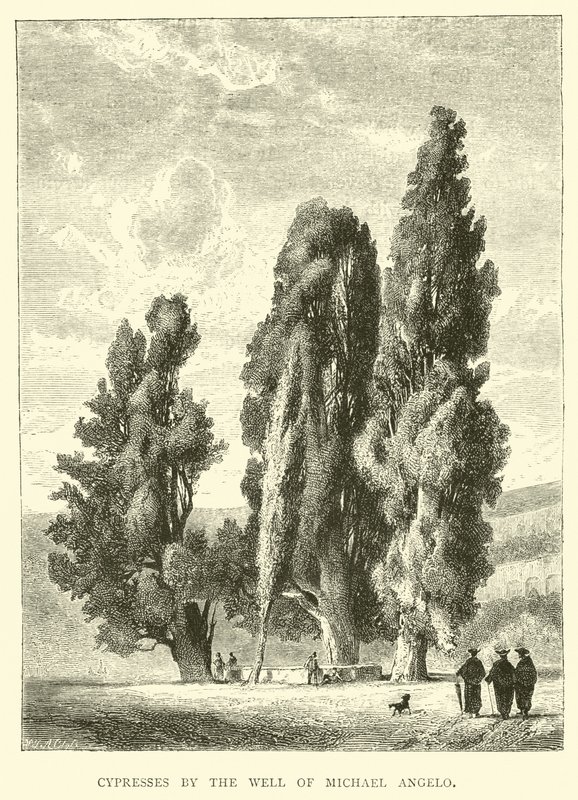 Michelangelo