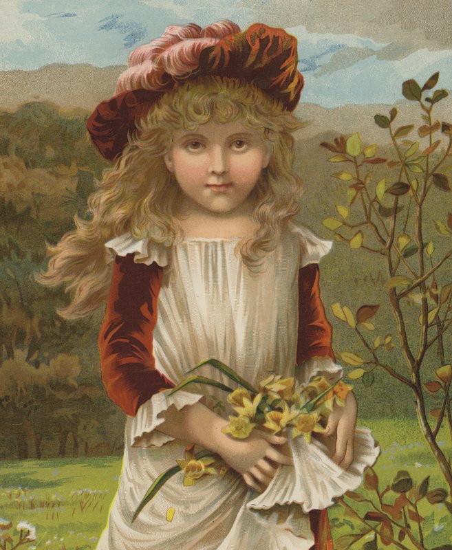 Nergis aşağı dilly (kromolitho) by English School