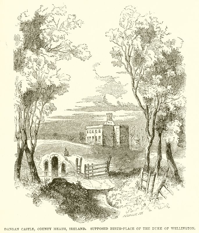 Dangan Kalesi, County Meath, İrlanda. Wellington Dükü
