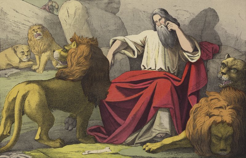Lions Den