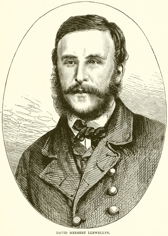 David Herbert Llewellyn by English School