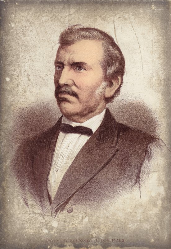 David Livingstone, kaşif by English School