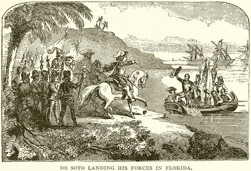 De Soto, Kuvvetlerini Florida