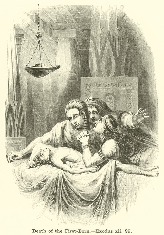 İlk Doğanın Ölümü, Çıkış, xii, 29 by English School