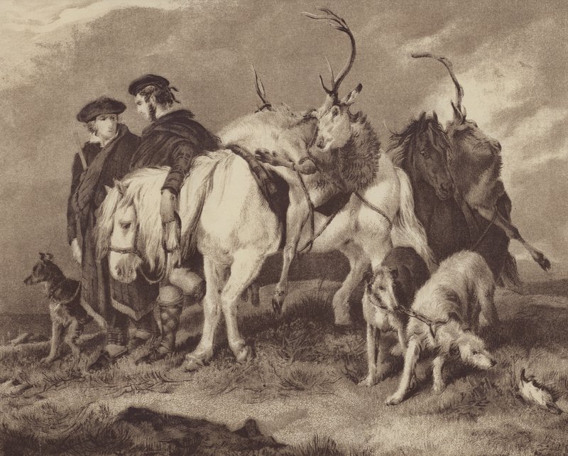 Geyik avı (chromolitho) by English School