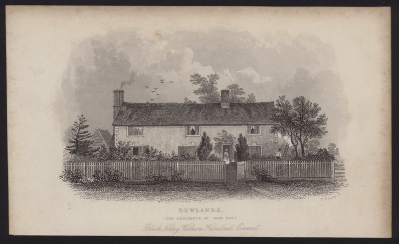 Dewlands, John Ray