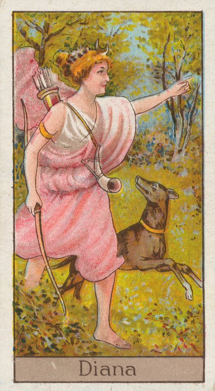 Diana by English School