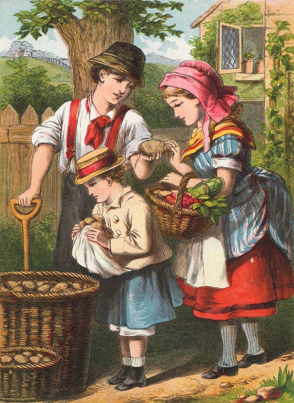 patates kazmak by English School