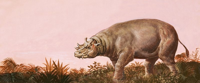 Dinozor by English School