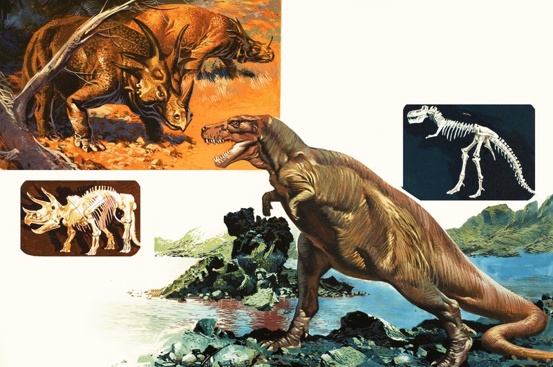 Dinozorlar ve İskeletler. Stegosaurus ve Tyrannosaurus by English School