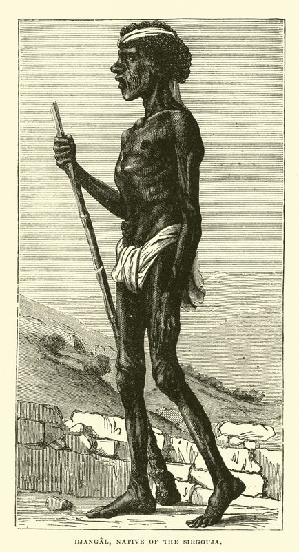 Djangal, Sirgouja
