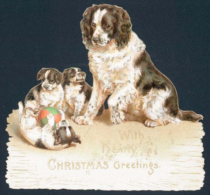 Köpek ve Köpek Yavruları, Noel Kartı by English School