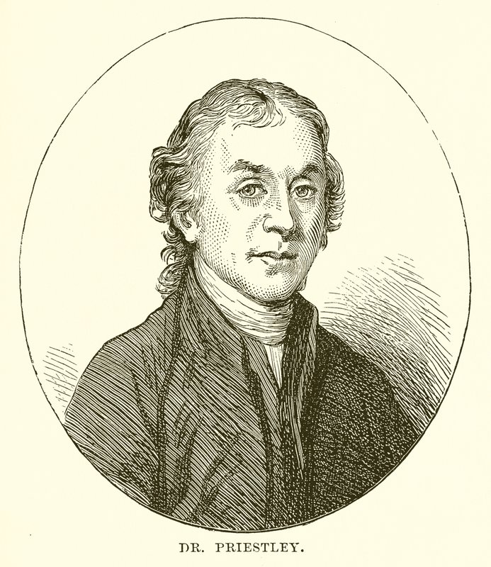 Doktor Priestley by English School