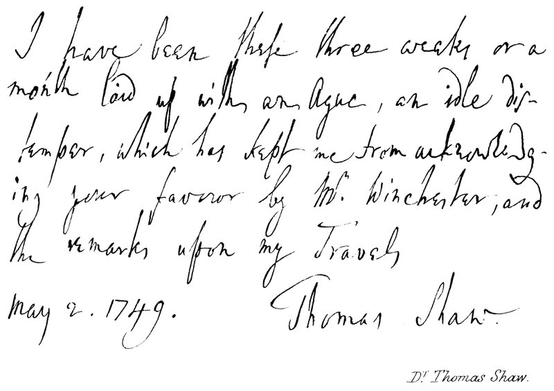 Doktor Thomas Shaw by English School