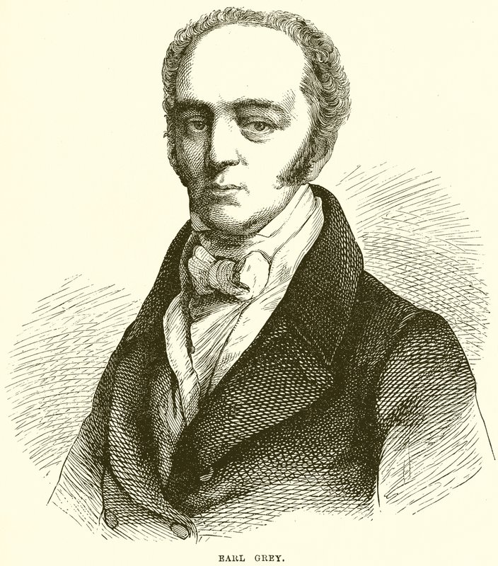 kont gri by English School