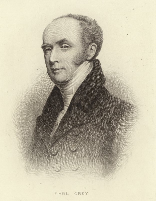 kont gri by English School